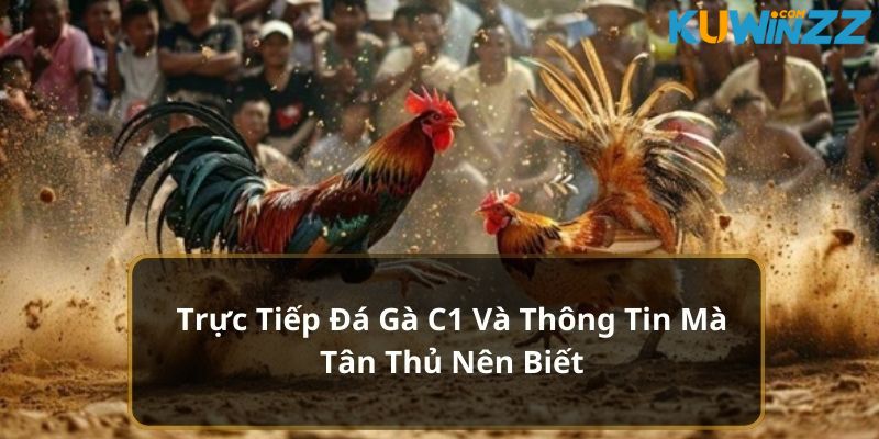 trực tiếp đá gà c1